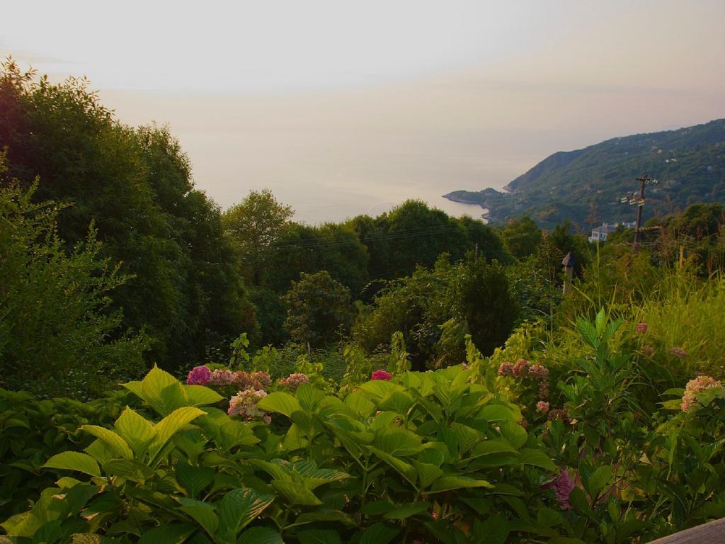 Villa Aglaini Áyios Dhimítrios Dış mekan fotoğraf